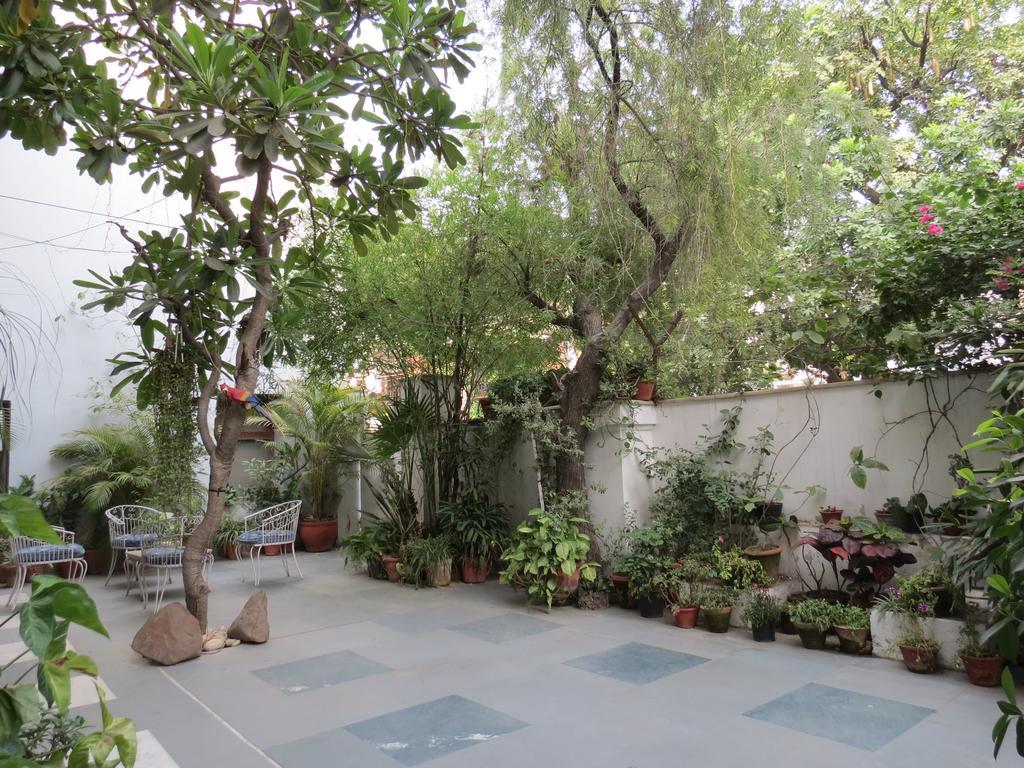 Trendy Bed & Breakfast New Delhi Exterior photo